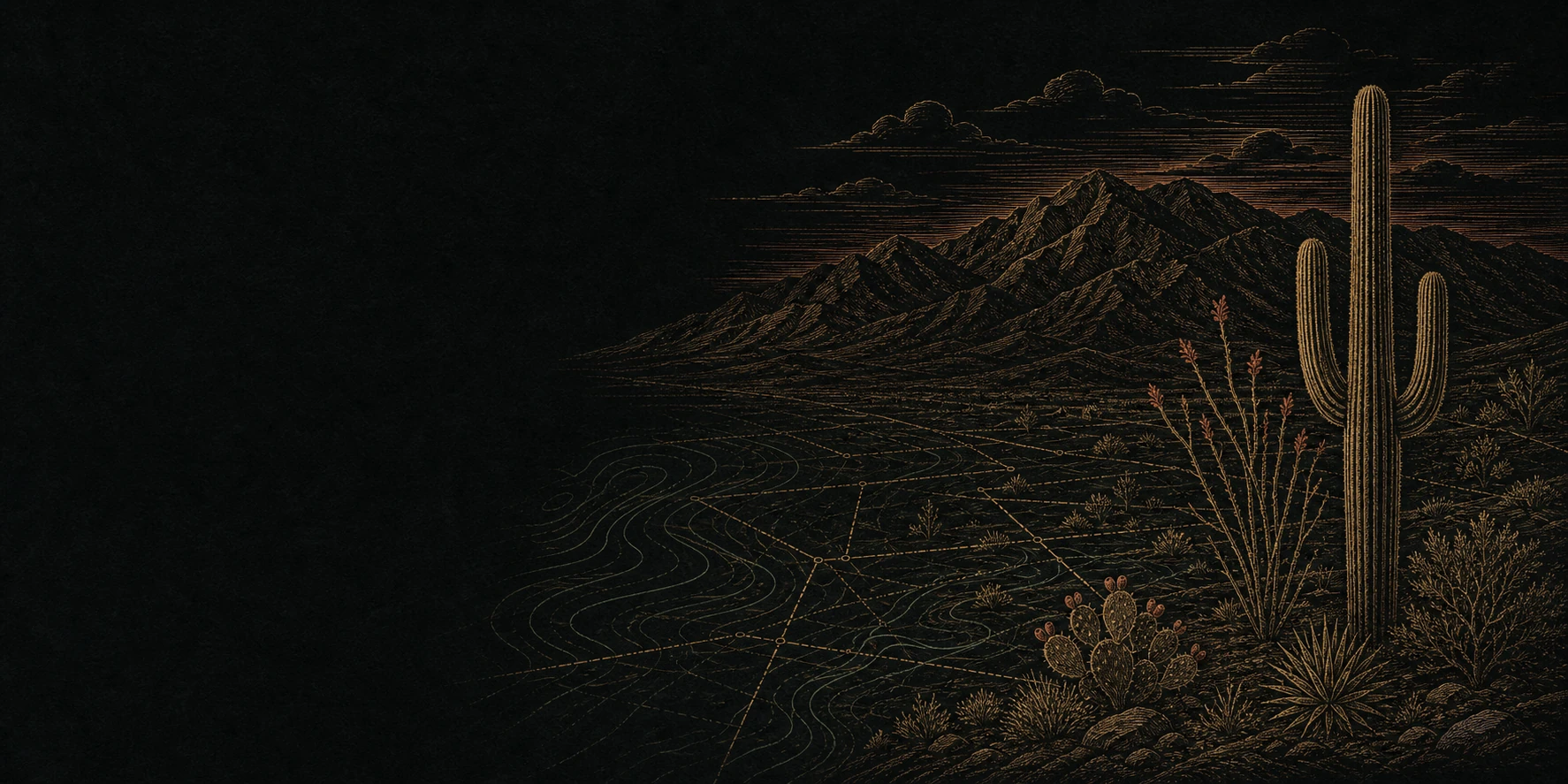 Night desert contour with saguaro and parcel lines